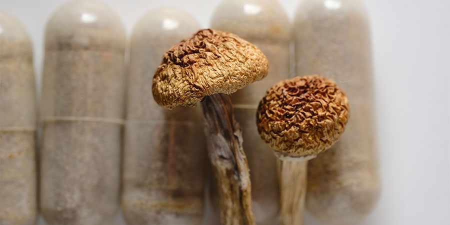 Why Having A Psychedelic Mushroom Day Is Important